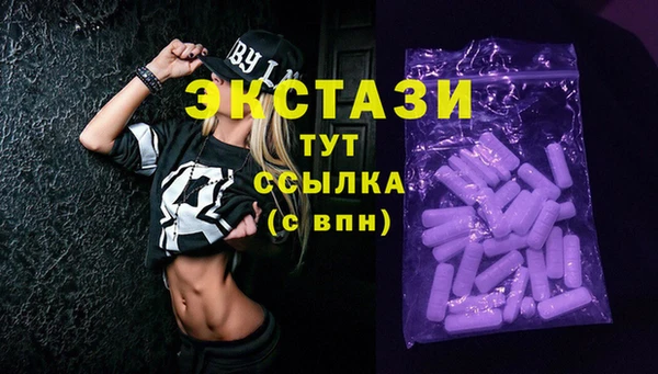 крисы Богородицк