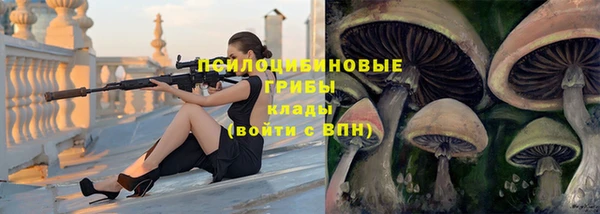 амф Белоозёрский