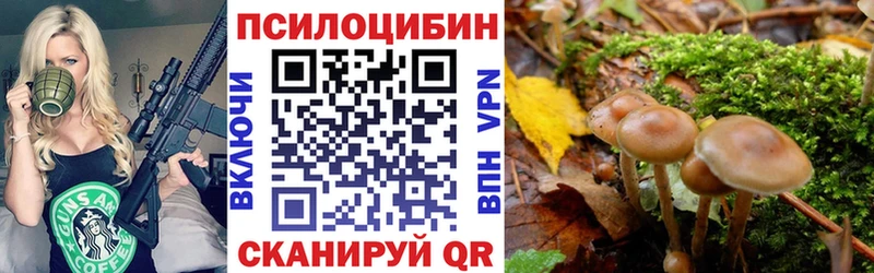 Галлюциногенные грибы мухоморы  ссылка на мегу ССЫЛКА  Светлый  наркота 